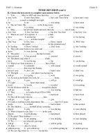 TENSE REVISION (con’t) potx