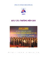 CÔNG TY cổ PHẦN SIMCO SÔNG đà báo cáo thường niên 2011