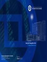 SỞ GIAO DỊCH CHỨNG KHOÁN THÀNH PHỐ hồ CHÍ MINH hochiminh stock exchange báo cáo thường niên annual report 2012