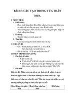 GIÁO ÁN SINH 6_BÀI 15: CẤU TẠO TRONG CỦA THÂN NON pot