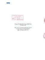 Công ty cổ phần pin ắc quy miền nam và công ty con báo cáo tài chính hợp nhất giữa niên độ cho giai đoạn 6 tháng kết thúc ngày 30 tháng 6 năm 2013