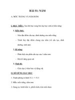 GIÁO ÁN SINH 6_BÀI 51: NẤM A. MỐC TRẮNG VÀ NẤM RƠM pdf