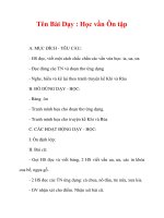 Giáo án lớp 1 môn Tiếng Việt :Tên Bài Dạy : Học vần Ôn tập pps