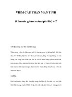 VIÊM CẦU THẬN MẠN TÍNH (Chronic glomerulonephritis) – 2 doc