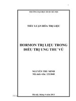 TIỂU LUẬN HÓA TRỊ LIỆU HORMON TRỊ LIỆU TRONG ĐIỀU TRỊ UNG THƯ VÚ
