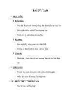 GIÁO ÁN SINH 6_BÀI 37: TẢO ppt