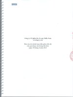 Công ty cổ phần pin ắc quy miền nam và công ty con báo cáo tài chính hợp nhất giữa niên độ cho 6 tháng kết thúc ngày 30 tháng 6 năm 2013