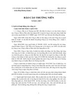 CÔNG TY cổ PHầN đầu tư và THƯƠNG mại DIC báo cáo thường niên 2007