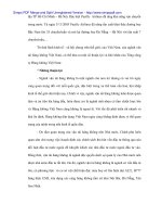 Phân tích tài chính và nâng cao hiệu quả tài chính trong vận tải tại Vietnam Airlines - 5 pps