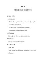 GIÁO ÁN SINH 7_Bài 28: TIÊU HOÁ Ở RUỘT NON docx