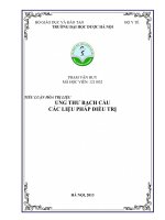 TIỂU LUẬN HÓA TRỊ LIỆU UNG THƯ BẠCH CẦU  CÁC LIỆU PHÁP ĐIỀU TRỊ