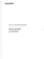 công ty cổ phần chứng khoán dầu khí báo cáo tài chính đã được kiểm toán cho năm tài chính kết thúc ngày 31 tháng 12 năm 2011