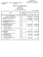 Công ty cổ phần pin ắc quy miền nam báo cáo bảng cân đối kế toán dạng đầy đủ quý 3 năm 2010 tại ngày 30 tháng 09 năm 2010