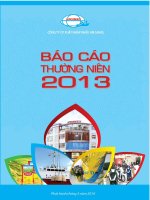 công ty cổ phần xuất nhập khẩu an giang angimex báo cáo thường niên 2013