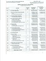 Công ty cổ phần pin ắc quy miền nam báo cáo bảng cân đối kế toán riêng ngày 30 tháng 6 năm 2012