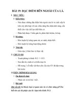 GIÁO ÁN SINH 6_BÀI 19: ĐẶC ĐIỂM BÊN NGOÀI CỦA LÁ pptx