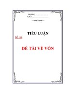 Đề tài về vốn   luận văn, đồ án, đề tài tốt nghiệp kinh tế về vốn đầu tư