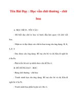 Giáo án lớp 1 môn Tiếng Việt :Tên Bài Dạy : Học vần chữ thường - chữ hoa pdf