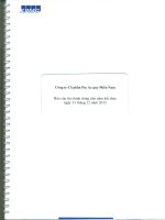 Báo cáo tài chính riêng năm kết thúc 31 tháng 12 năm 2013 đã kiểm toán CÔNG TY cổ PHẦN PIN ắc QUY MIỀN NAM và công ty con