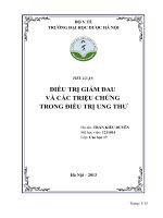 TIỂU LUẬN ĐIỀU TRỊ GIẢM ĐAU VÀ CÁC TRIỆU CHỨNG  TRONG ĐIỀU TRỊ UNG THƯ