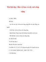 Giáo án đạo đức lớp 1:Tên bài dạy: Bảo vệ hoa và cây nơi công cộng potx