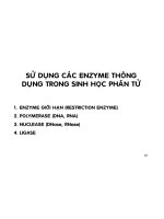 KỸ THUẬT DI TRUYỀN - PHẦN 3 pdf