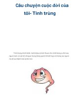 Câu chuyện cuộc đời của tôi- Tinh trùng docx