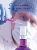 CÔNG TY cổ PHẦN SPM báo cáo THƯỜNG NIÊN 2013