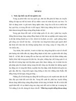 Phát huy truyền thống khoan dung nhằm tăng cường đồng thuận xã hội ở Việt Nam hiện nay (tóm tắt)