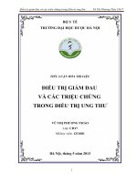 TIỂU LUẬN HÓA TRỊ LIỆU  ĐIỀU TRỊ GIẢM ĐAU  VÀ CÁC TRIỆU CHỨNG  TRONG ĐIỀU TRỊ UNG THƯ