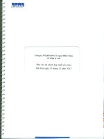 Báo cáo tài chính hợp nhất năm kết thúc 31 tháng 12 năm 2013 đã kiểm toán CÔNG TY cổ PHẦN PIN ắc QUY MIỀN NAM và công ty con