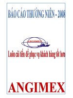 công ty cổ phần xuất nhập khẩu an giang angimex báo cáo thường niên 2008