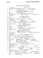 ÔN TẬP ANH VĂN THEO CHỦ ĐỀ 5 ppt