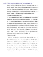 Chiến lược huy động vốn và phát triển nguồn vốn tại Sở Giao dịch I BIDV - 3 ppt