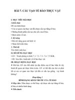 GIÁO ÁN SINH 6_BÀI 7. CẤU TẠO TẾ BÀO THỰC VẬT pps