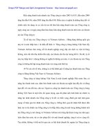 Phân tích tài chính và nâng cao hiệu quả tài chính trong vận tải tại Vietnam Airlines - 7 ppt