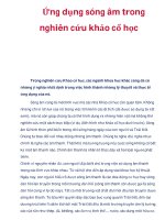 Ứng dụng sóng âm trong nghiên cứu khảo cổ học doc