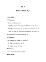GIÁO ÁN SINH 7_Bài 58 :TUYẾN SINH DỤC potx