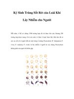 Ký Sinh Trùng Sốt Rét của Loài Khỉ Lây Nhiễm cho Người doc