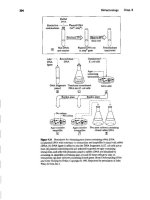 21st Century Manufacturing Episode 2 Part 11 pptx