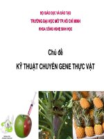 CHỦ ĐỀ : KỸ THUẬT CHUYỂN GENE THỰC VẬT docx