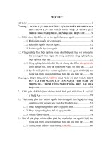 Phát huy nguồn lực con người tỉnh nghệ an trong quá trình công nghiệp hóa, hiện đại hóa hiện nay