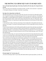 Thị trường tài chính Việt Nam vẫn đi một chân ppsx