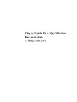 Công ty cổ phần pin ắc quy miền nam báo cáo tài chính 31 tháng 3 năm 2011