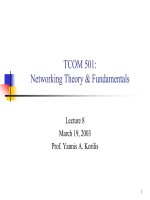 Networking Theory and Fundamentals - Lecture 8 potx