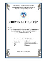 ĐẨY MẠNH HOẠT ĐỘNG KINH DOANH PHÁT HÀNH THẺ THANH TOÁN QUỐC TẾ Ở  NGÂN HÀNG TMCP NGOẠI THƯƠNG VIỆT NAM