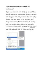 Ngăn ngừa sự lây lan của virut qua file Autorun.inf ppt