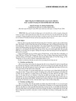 Báo cáo nghiên cứu khoa học: 