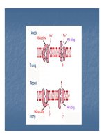 Bài giảng trao đổi chất qua màng tế bào part 8 pdf