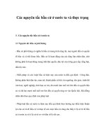 Các nguyên tắc bầu cử ở nước ta và thực trạng potx